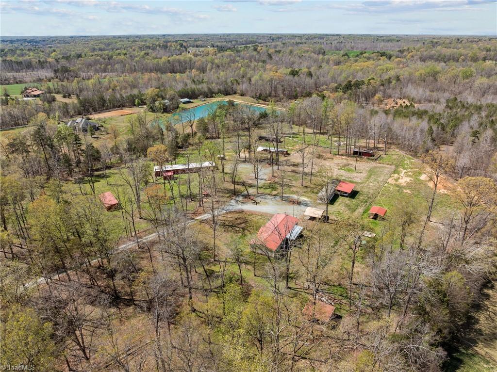 6955 Garrett Store Road Liberty, NC 27298 - Photo 39 of 42