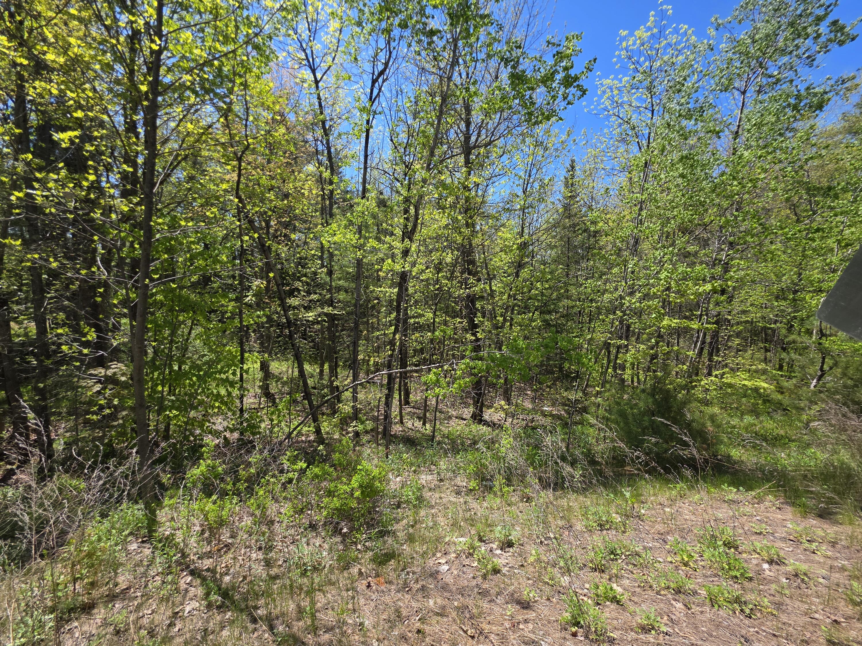 Lot 254 Eastern Avenue Augusta, ME 04330 - Photo 3 of 11 20250516_121530