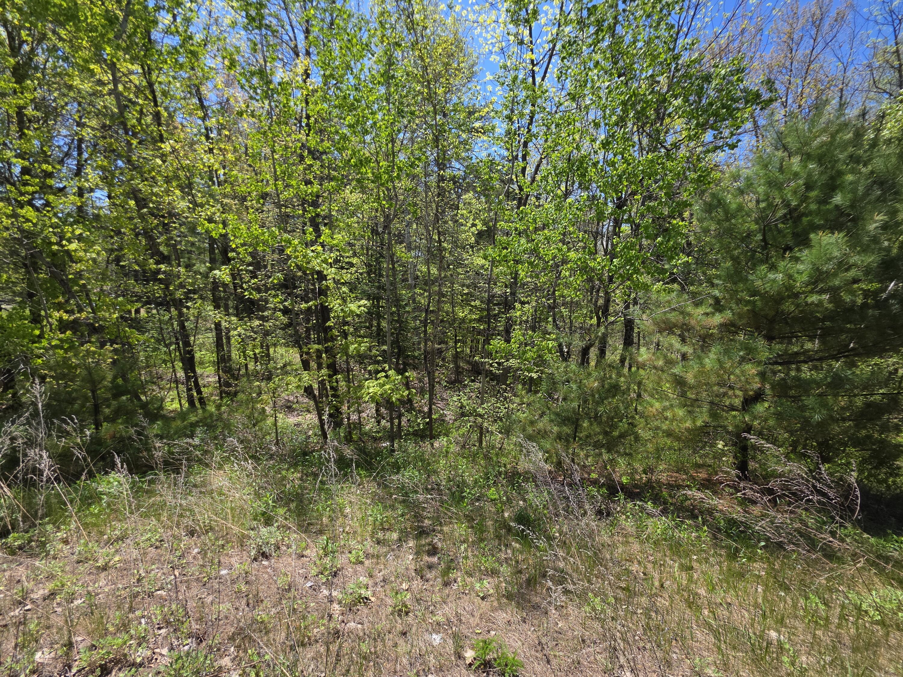 Lot 254 Eastern Avenue Augusta, ME 04330 - Photo 6 of 11 20250516_121547