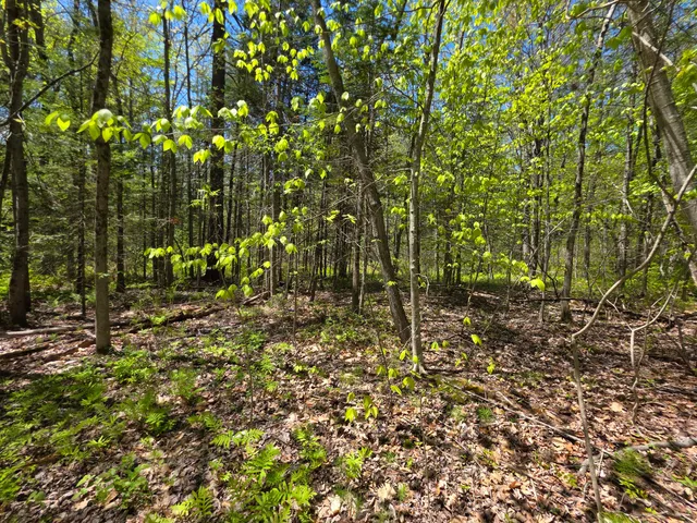 $19,900 | Lot 254 Eastern Avenue, Augusta, ME 04330