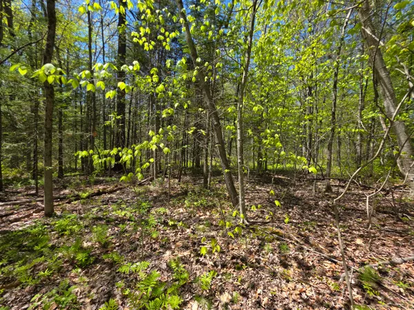 $19,900 | Lot 254 Eastern Avenue, Augusta, ME 04330