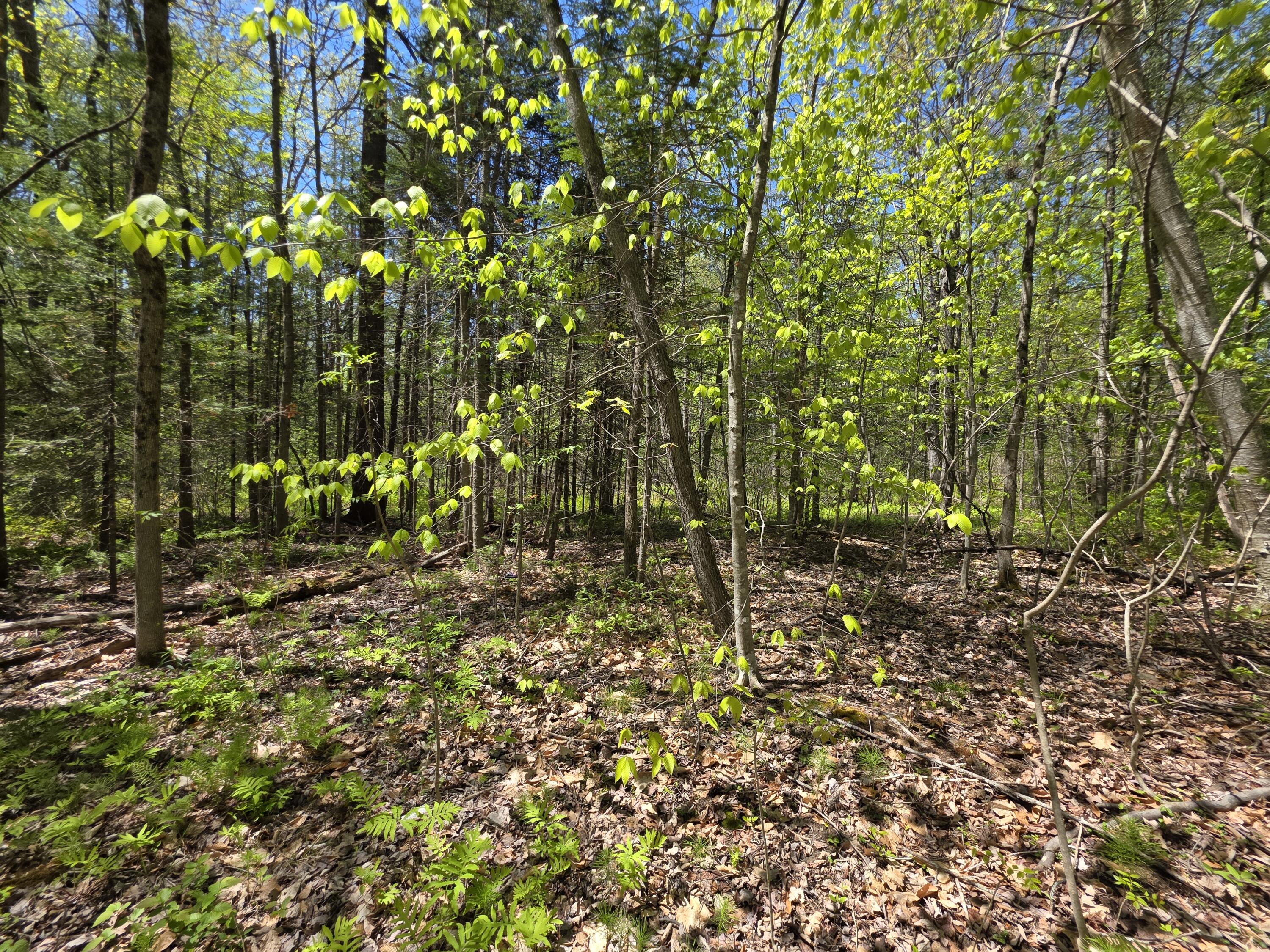 Lot 254 Eastern Avenue Augusta, ME 04330 - Photo 8 of 11 20250516_121652