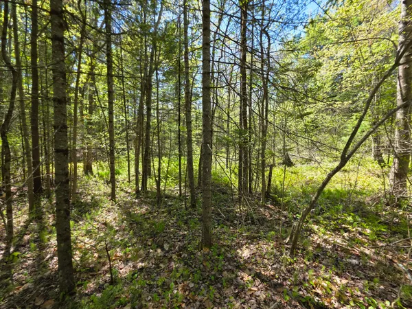 $19,900 | Lot 254 Eastern Avenue, Augusta, ME 04330