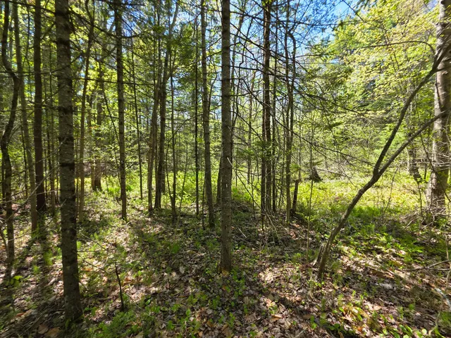 $19,900 | Lot 254 Eastern Avenue, Augusta, ME 04330
