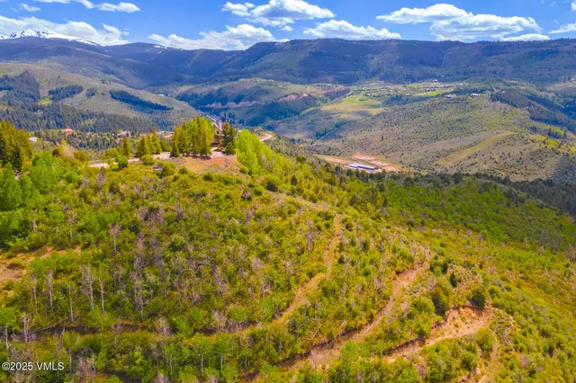 a view of city and mountain