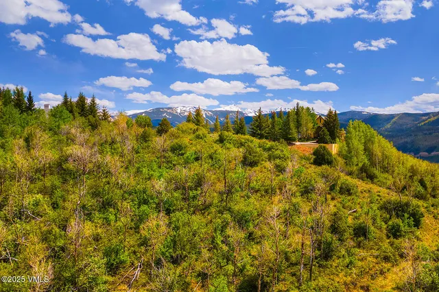 a view of a large tree