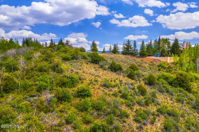a view of a yard with a tree