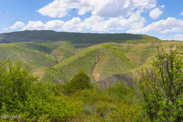 a view of an ocean from a yard