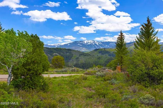 a view of a bunch of trees