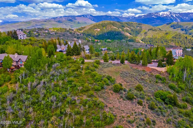 a view of a bunch of flowers in front of house