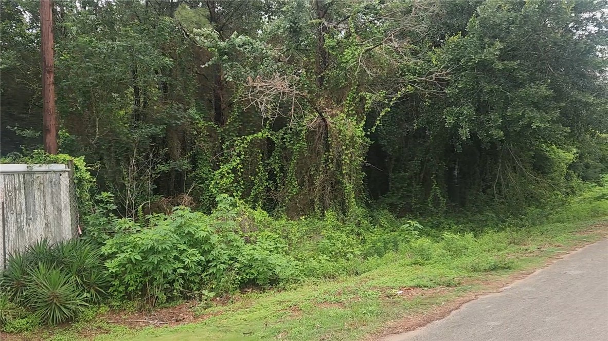 Lot 61 Greenfield Road Hempstead, TX 77445 - Photo 3 of 17 a view of a lush green forest