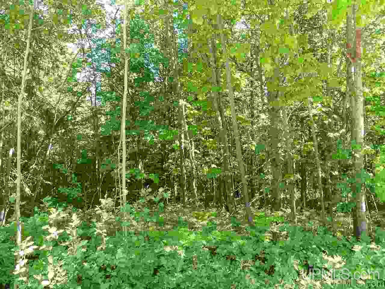 No # East No Road Grand Marais, MI 49839 - Photo 9 of 12