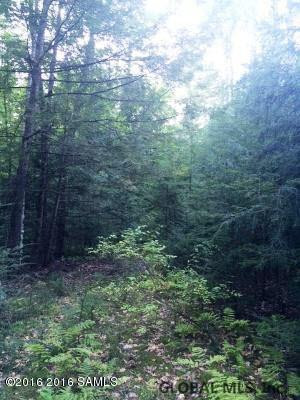 693 Landon Hill Road Chester, NY 12817 - Photo 3 of 7 Photo 3