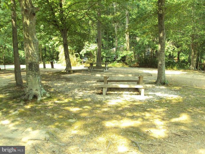24 Harbor Road Chesapeake City, MD 21915 - Photo 22 of 23 Community Picnic Area