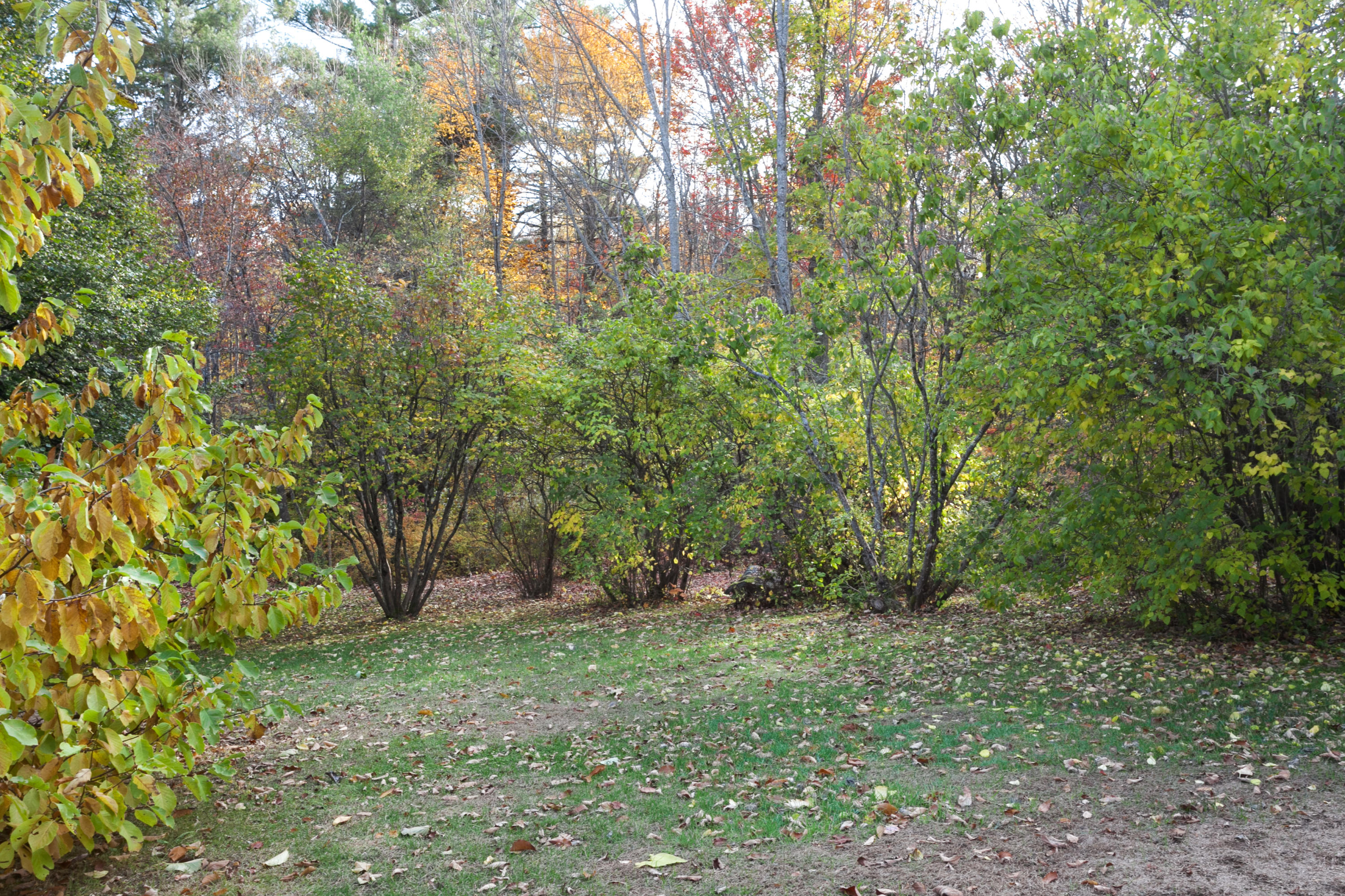 82 Fort Ridge Road Alfred, ME 04002 - Photo 34 of 51 0340