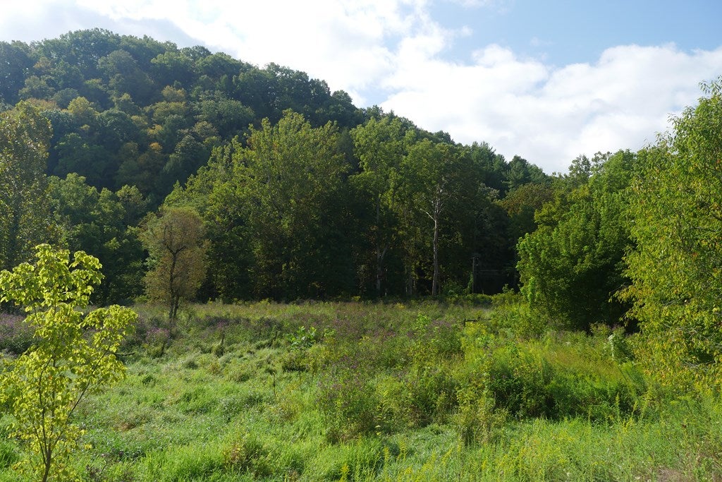Tbd South Fork River Road, Unit 1 Glade Spring, VA 24340 - Photo 12 of 57 Gallery Image 12