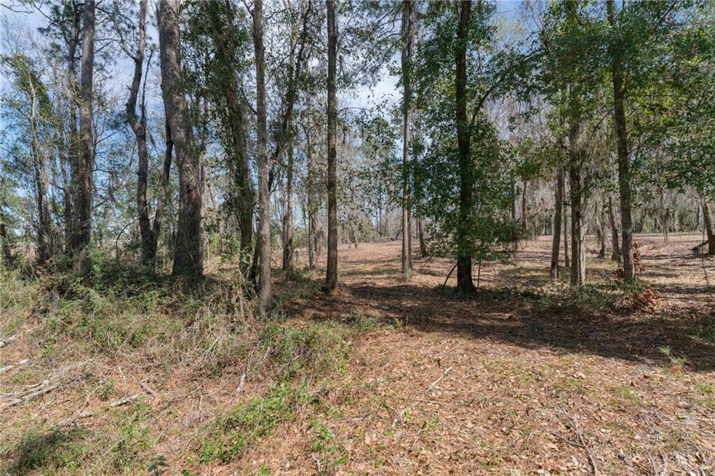 1 South Newport Road Townsend, GA 31331 - Photo 27 of 31 Photo 27