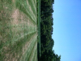 2455 South Center Road Saginaw, MI 48609 - Photo 7 of 7 20368276-6.JPG