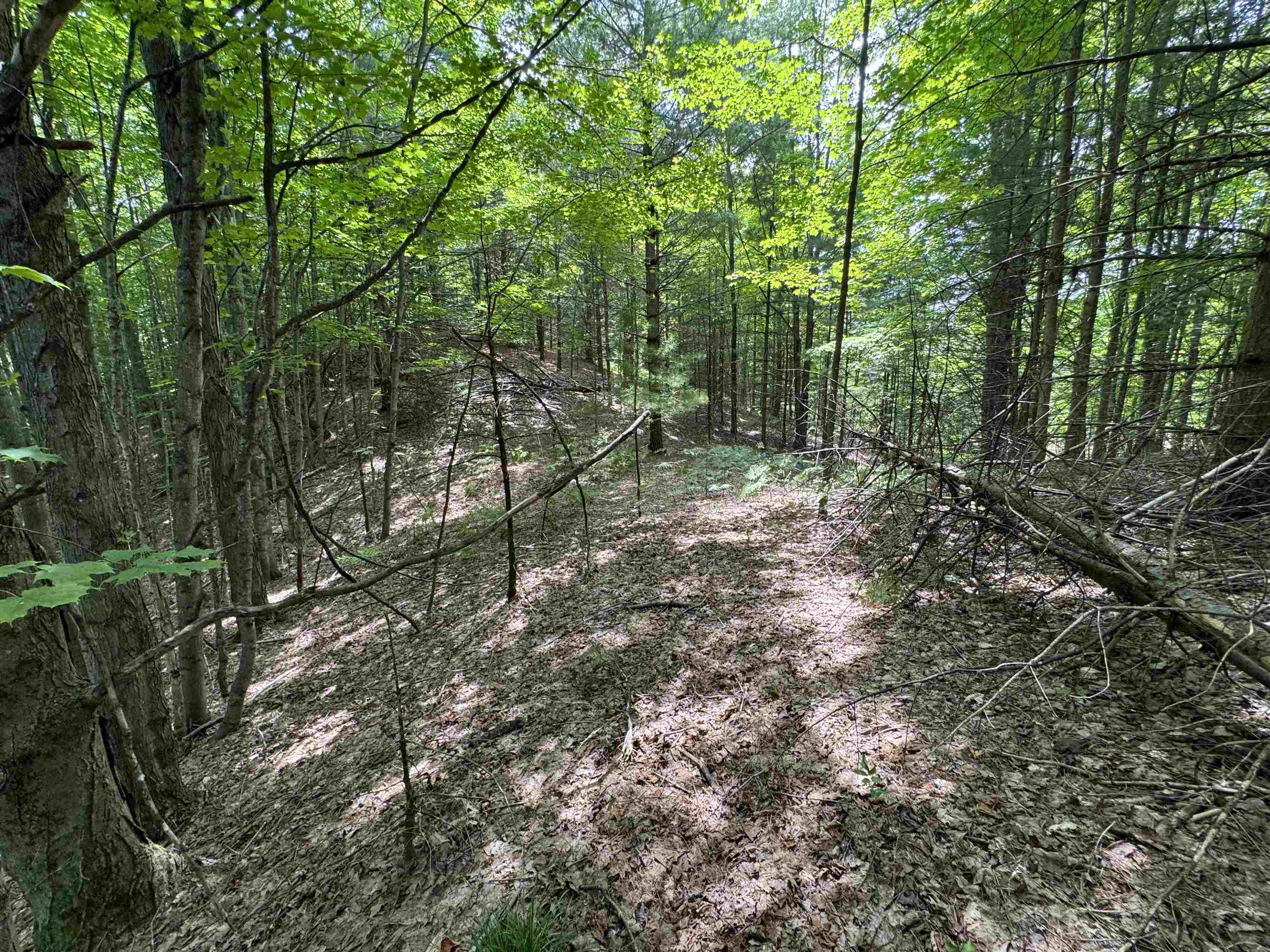 Lot #5 East Bellinger Road, Unit BELLINGER ESTATES LOT: 5 Cedar, MI 49621 - Photo 18 of 20