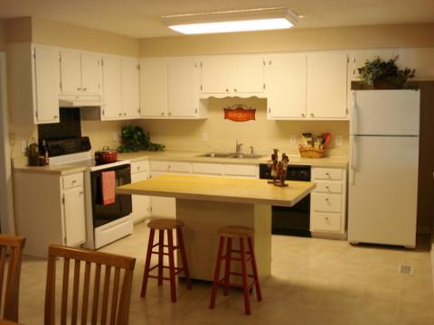 102 Pebble Creek Road Franklin, TN 37064 - Photo 3 of 19 Kitchen with temporary island to show you how much room you have in the kitchen...I love the kitchen!