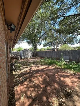 a view of a yard with plants and large trees