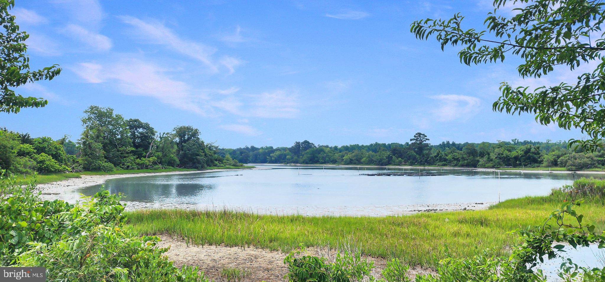 2598 Cherrystone Road Cape Charles, VA 23310 - Photo 4 of 47 Serene waters embrace lush greenery.