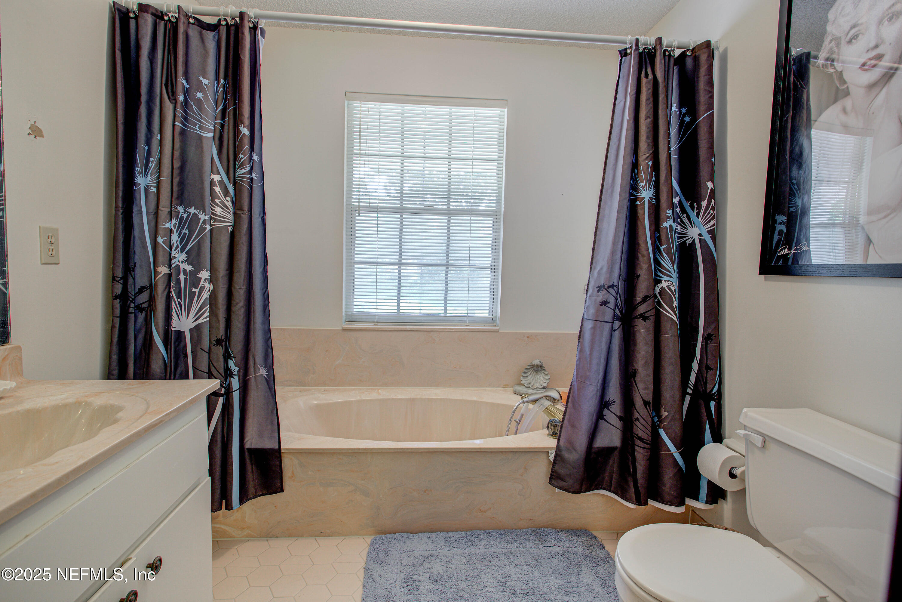 4302 Buck Point Road Jacksonville, FL 32210 - Photo 54 of 74 a bathroom with a sink a toilet and a tub
