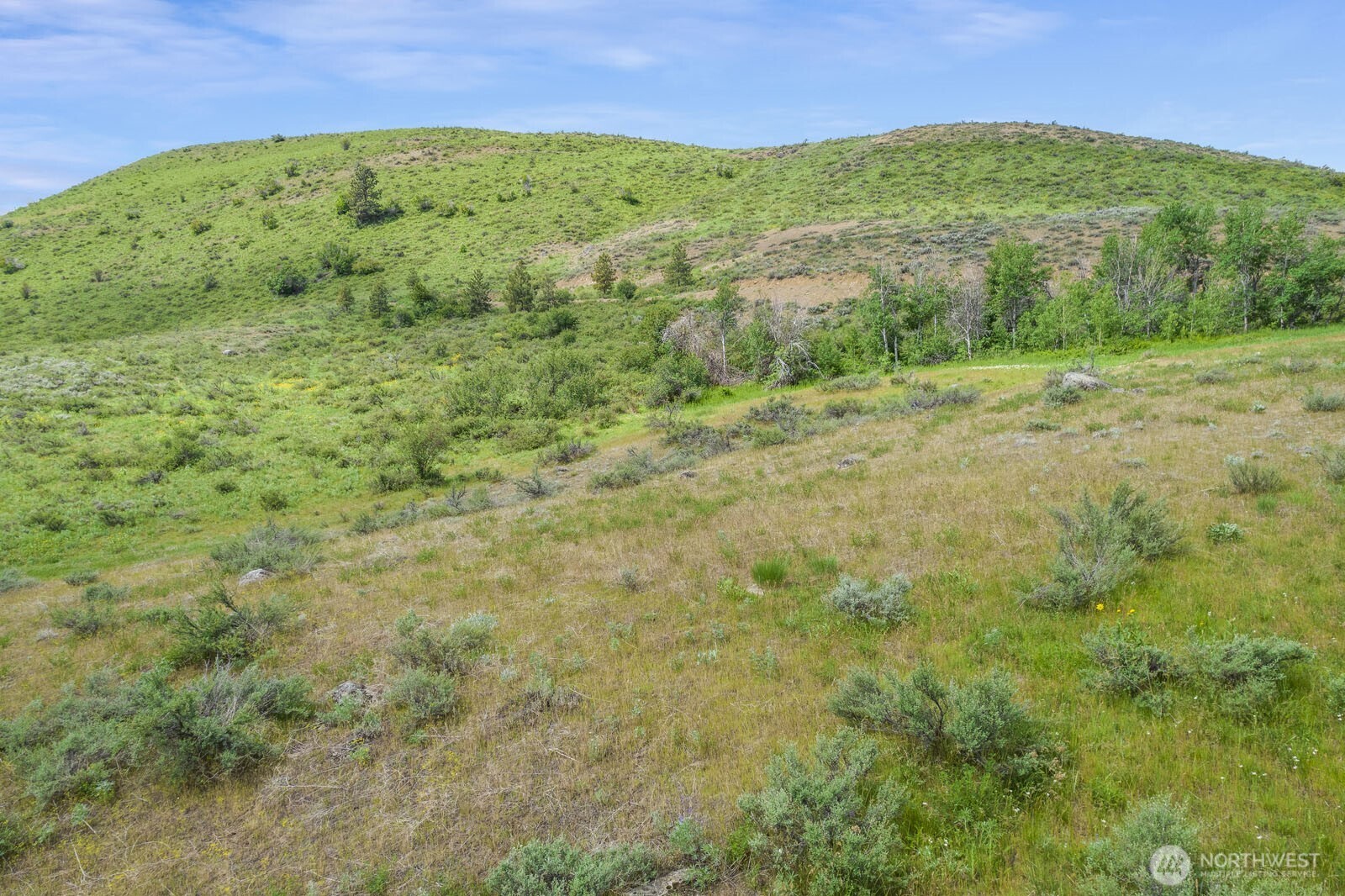 29 Heritage Rose Road Winthrop, WA 98862 - Photo 14 of 33