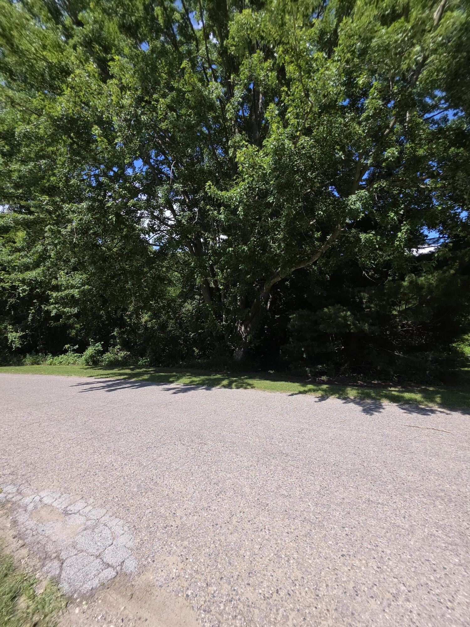 Stonegate Drive Lapeer, MI 48446 - Photo 4 of 5 20250710_161358