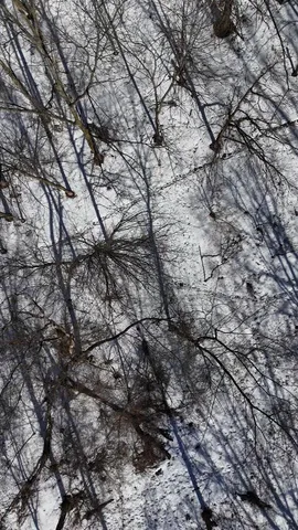 $69,900 | Stonegate Drive, Lapeer, MI 48446