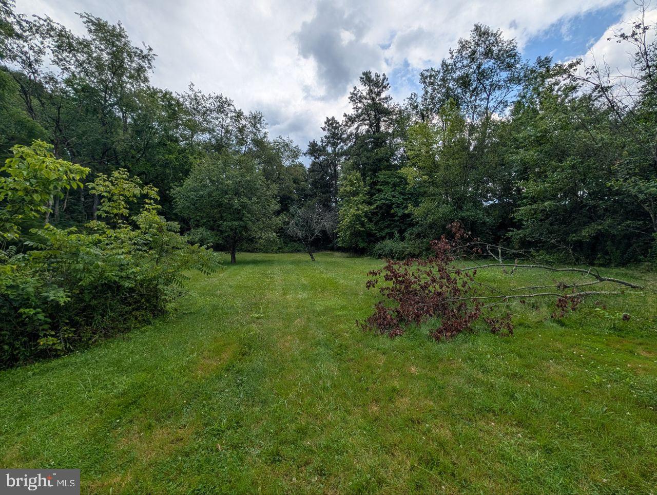 898 Joffre Cherry Valley Road Burgettstown, PA 15021 - Photo 18 of 88