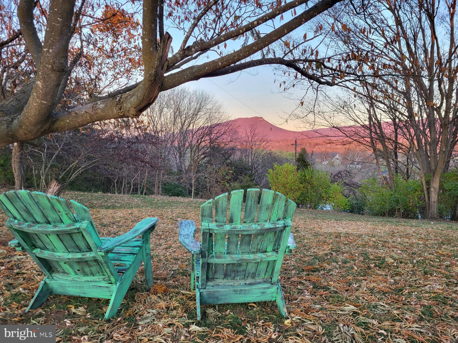 8735 Smith Creek Road New Market, VA 22844 - Photo 4 of 78