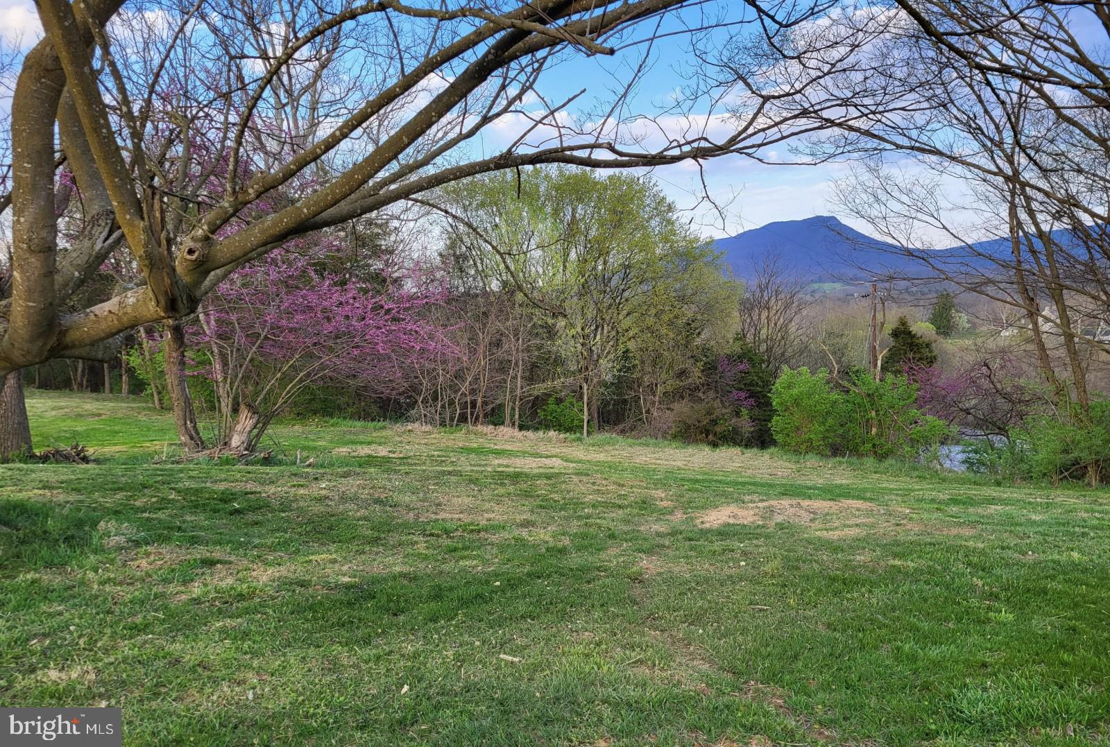 8735 Smith Creek Road New Market, VA 22844 - Photo 5 of 78