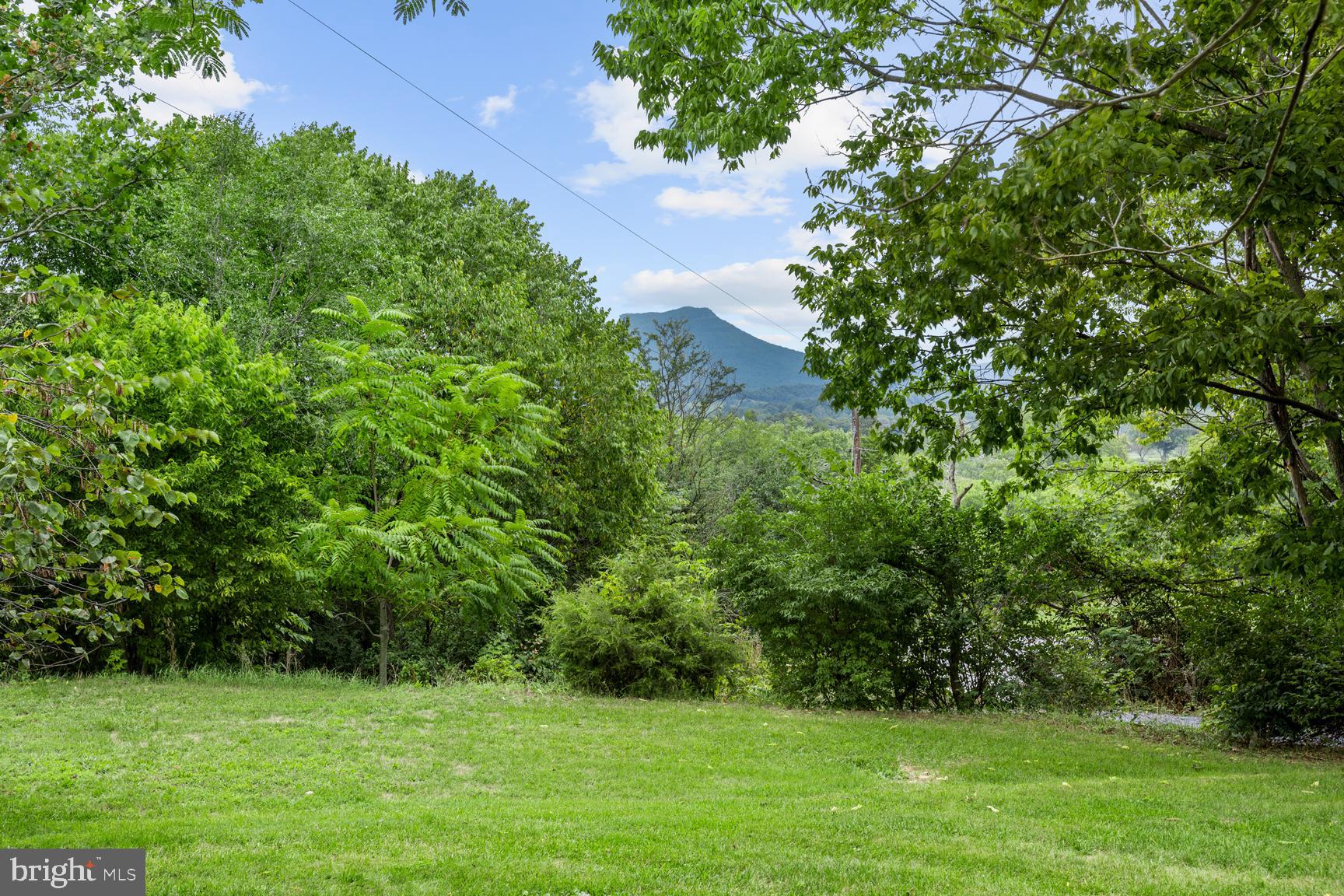 8735 Smith Creek Road New Market, VA 22844 - Photo 60 of 78