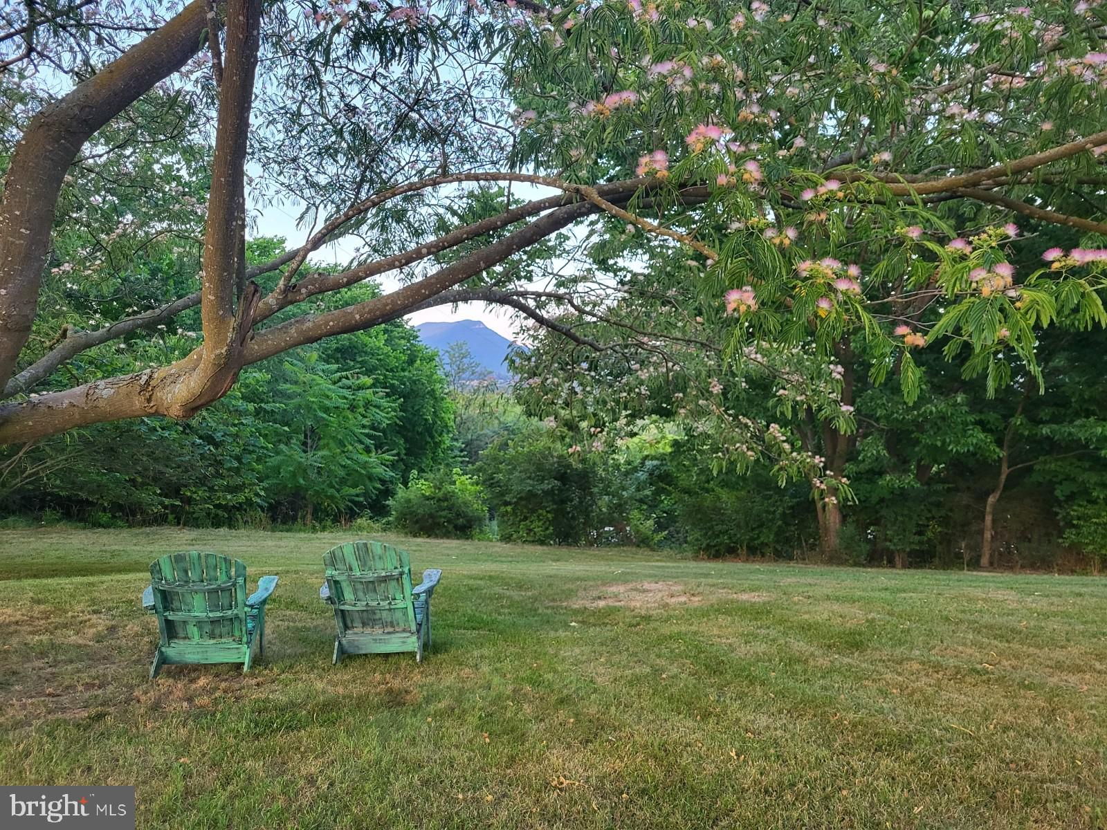 8735 Smith Creek Road New Market, VA 22844 - Photo 6 of 78