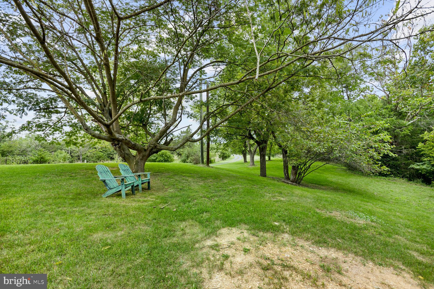 8735 Smith Creek Road New Market, VA 22844 - Photo 61 of 78