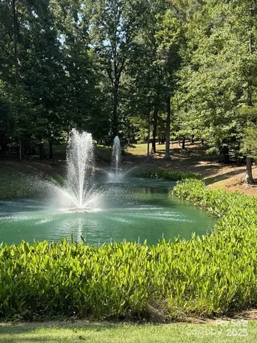 a view of a water fountain in a yard
