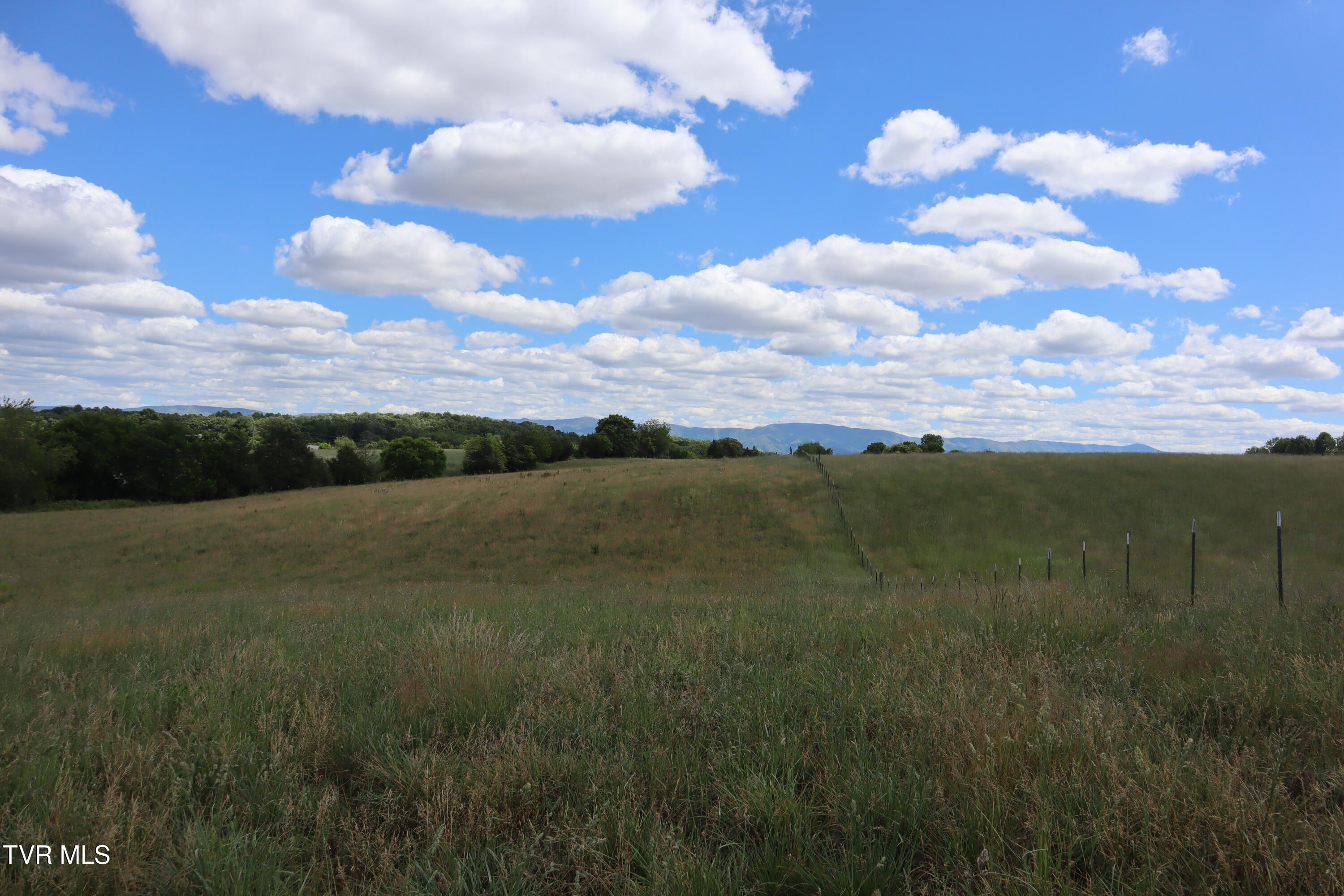 9170 Old Stage Road, Unit 2 Limestone, TN 37681 - Photo 6 of 15 IMG_0046
