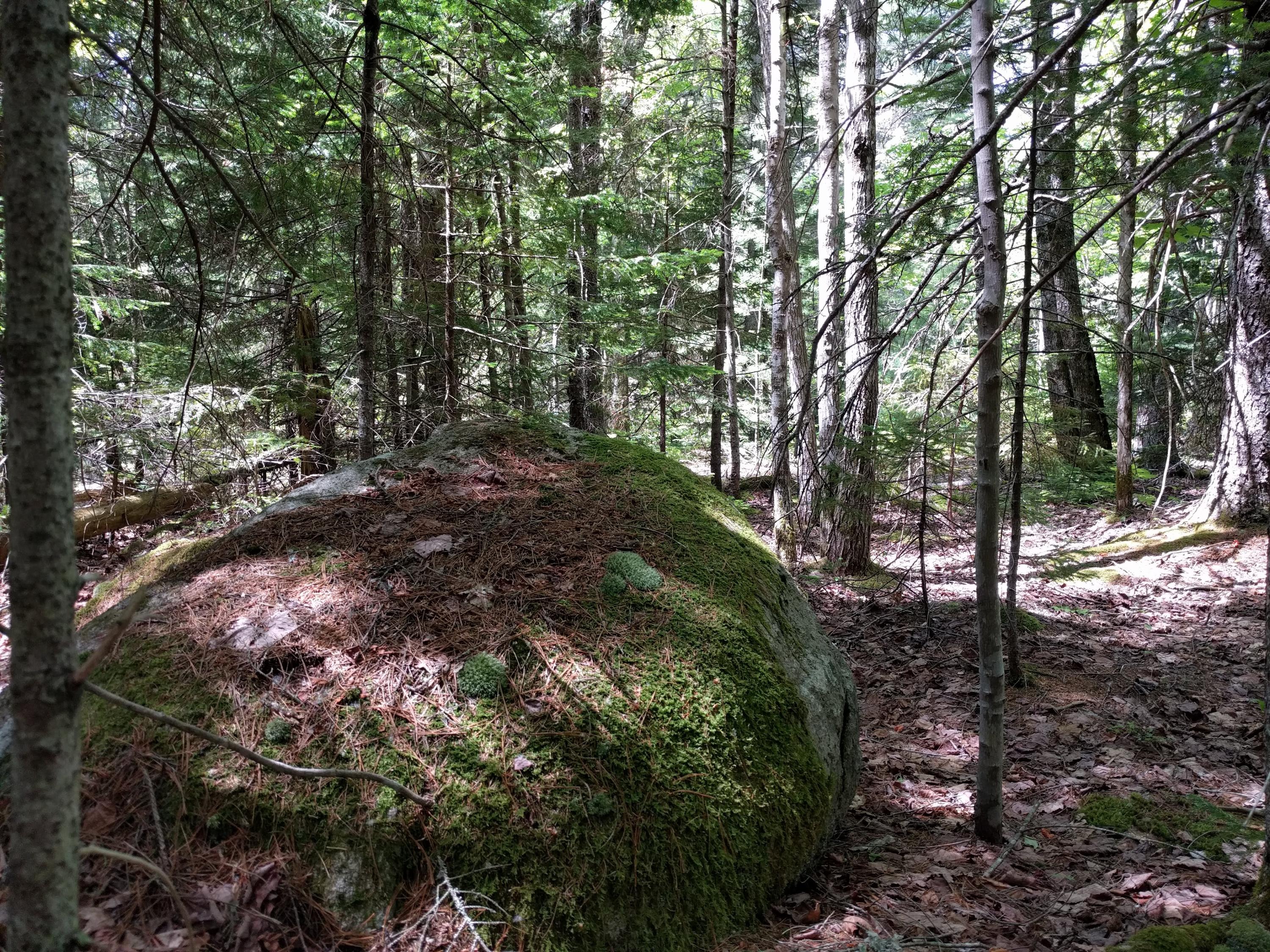 0 Old County Road Brooklin, ME 04616 - Photo 4 of 5 IMG_20180612_111536