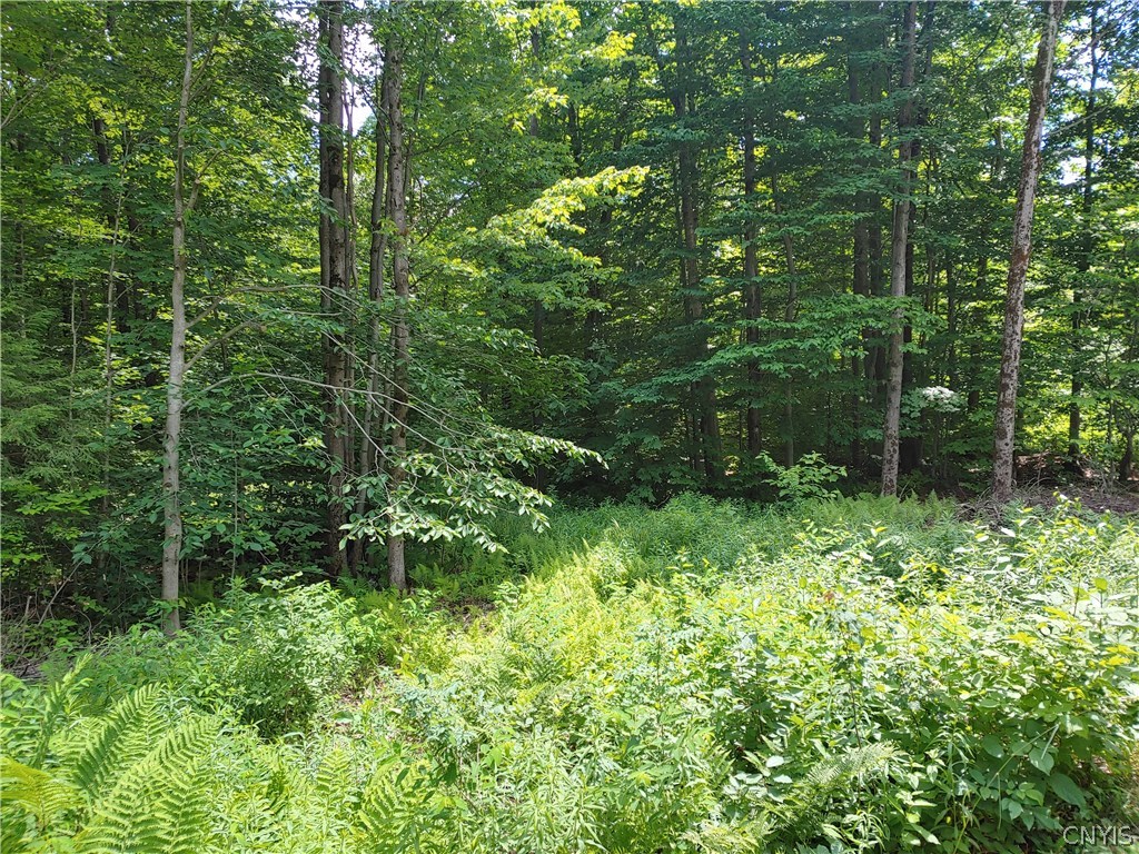 0 Penfield Road Camden, NY 13316 - Photo 1 of 1 Gallery Image 1