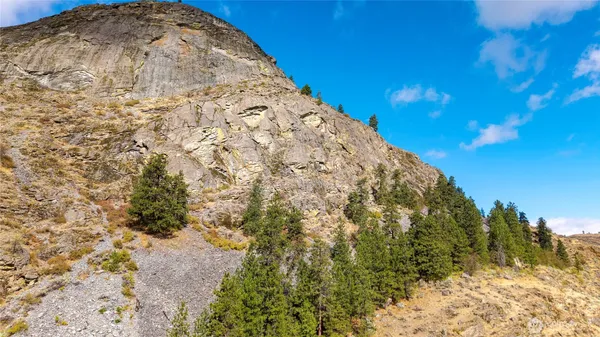 a view of a dry yard
