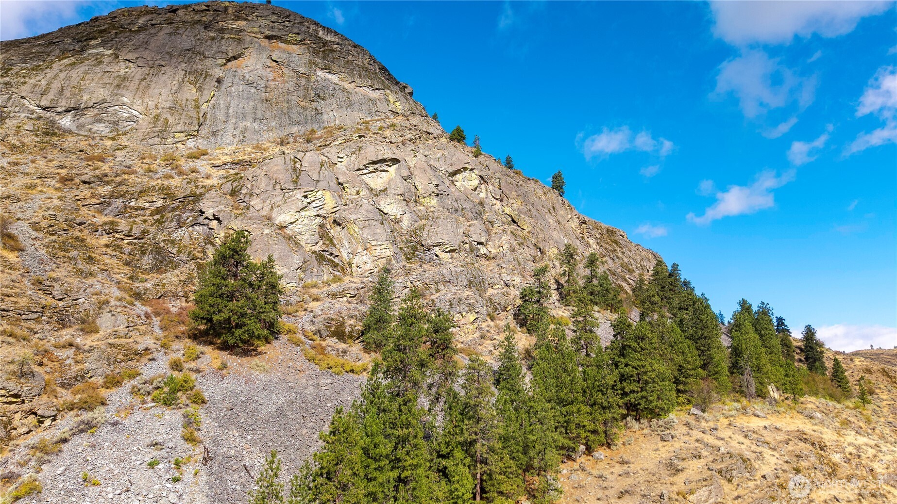 0 Tbd Pharr Out - 12 Way Riverside, WA 98849 - Photo 3 of 10 a view of a big yard with trees in the background
