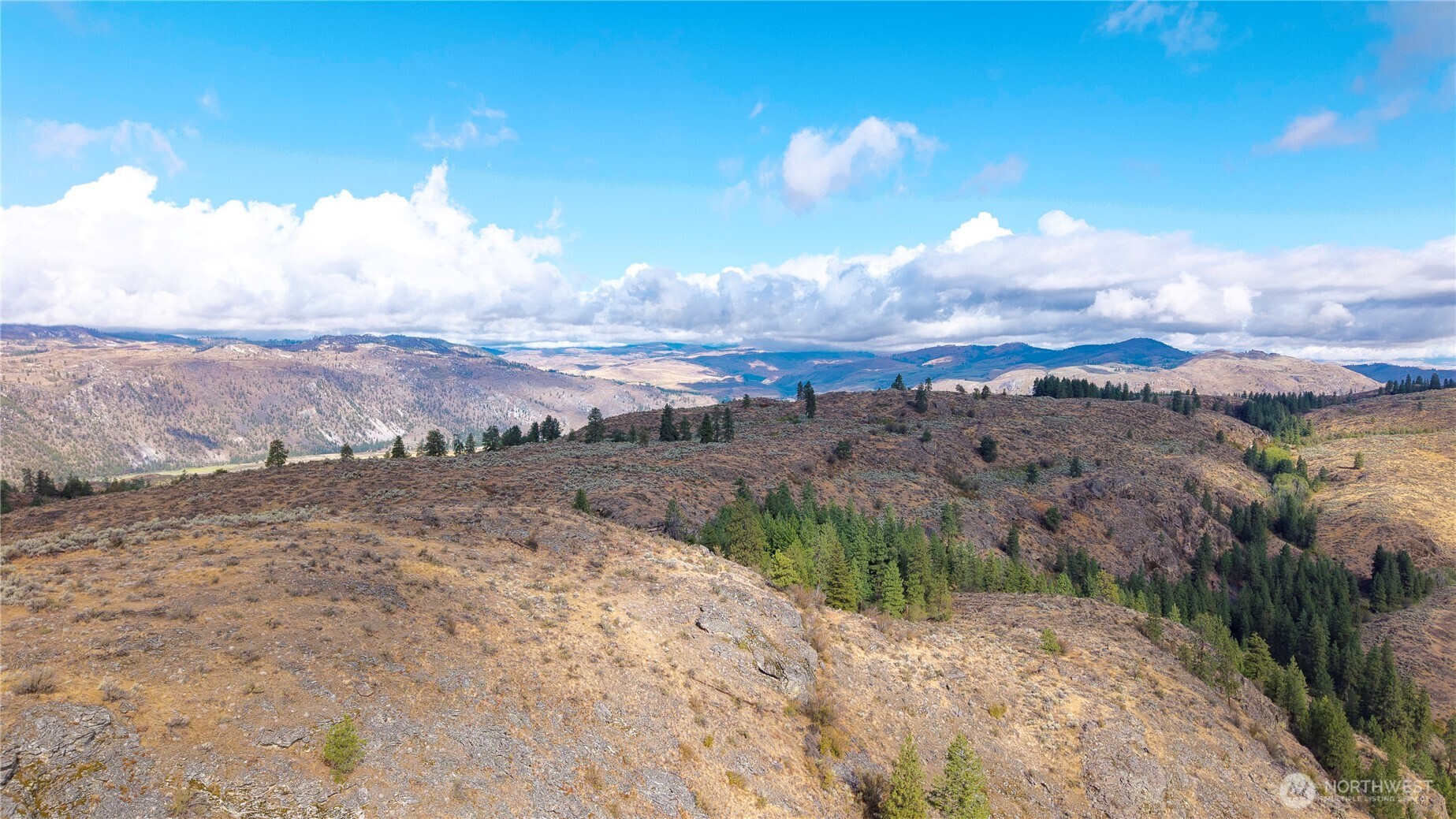 0 Tbd Pharr Out - 12 Way Riverside, WA 98849 - Photo 4 of 10 a view of a dry yard