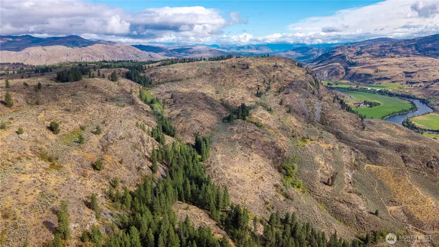 a view of a backyard with a lake