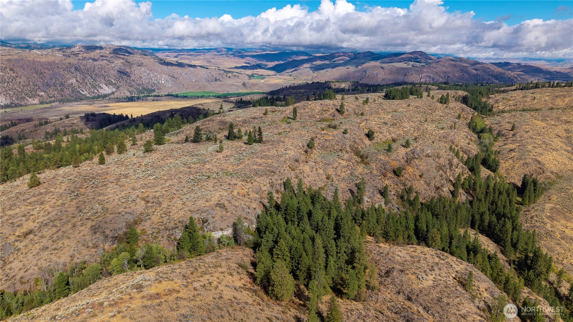 0 Tbd Pharr Out - 12 Way Riverside, WA 98849 - Photo 6 of 10 a view of a backyard with a lake