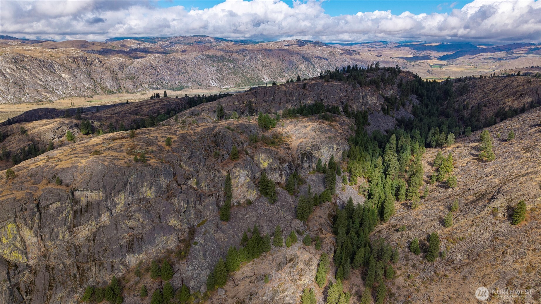 0 Tbd Pharr Out - 12 Way Riverside, WA 98849 - Photo 8 of 10 a view of a yard with an outdoor space