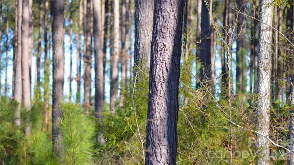 $103,000 | 0 Bobby Faucette Road, Unit 1, Jonesville, SC 29353