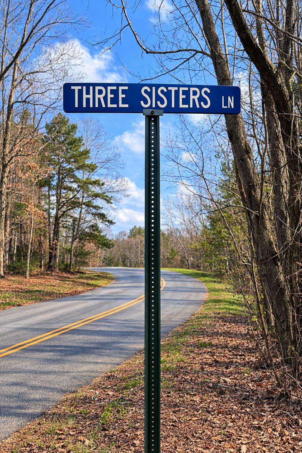 88 Three Sisters Lane Ringgold, GA 30736 - Photo 20 of 20 C4D48302-BDAE-4FA9-BA72-7C8A782931BE