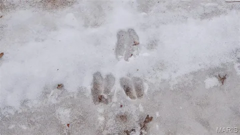 $430,000 | 0 Pebble Creek Drive, Warrenton, MO 63383