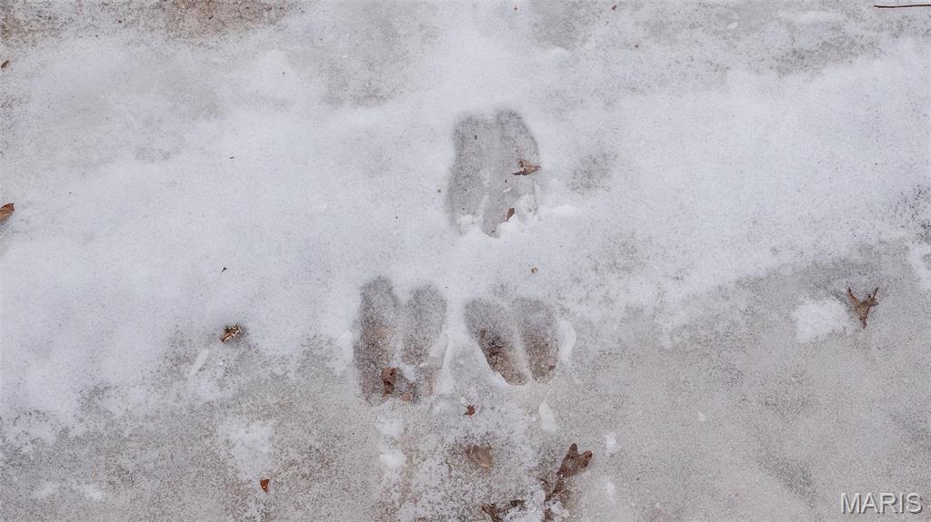 0 Pebble Creek Drive Warrenton, MO 63383 - Photo 11 of 20